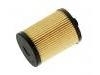 燃油濾清器 Fuel Filter:2D0 127 159